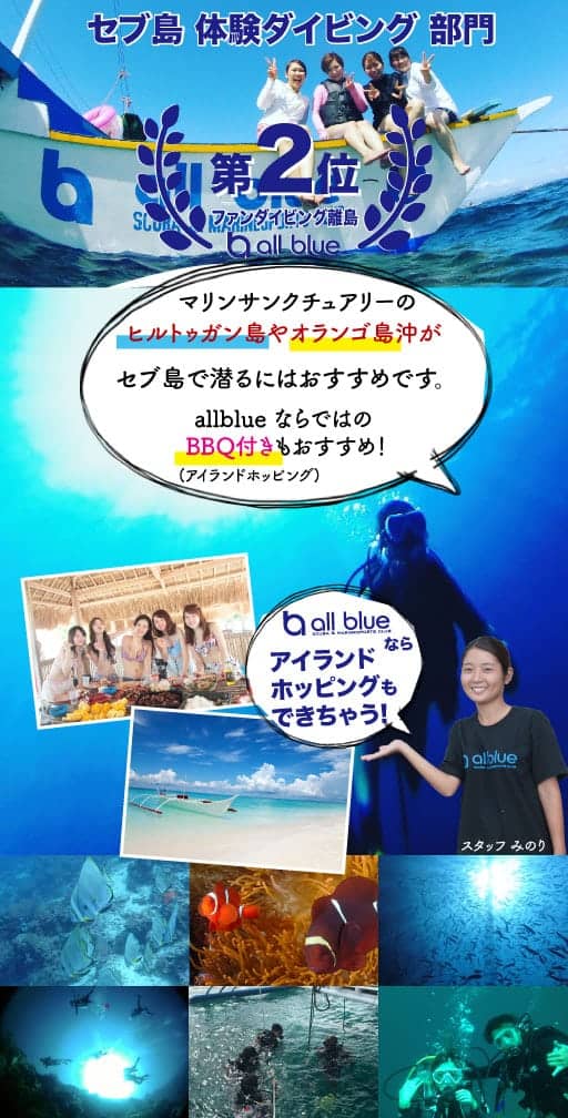 セブ島体験ダイビングの特長