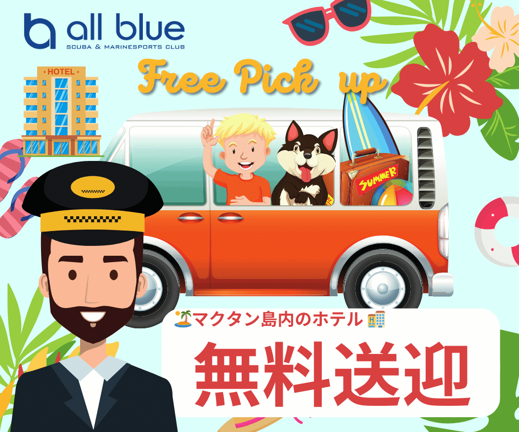 セブ島でダイビングはallblue