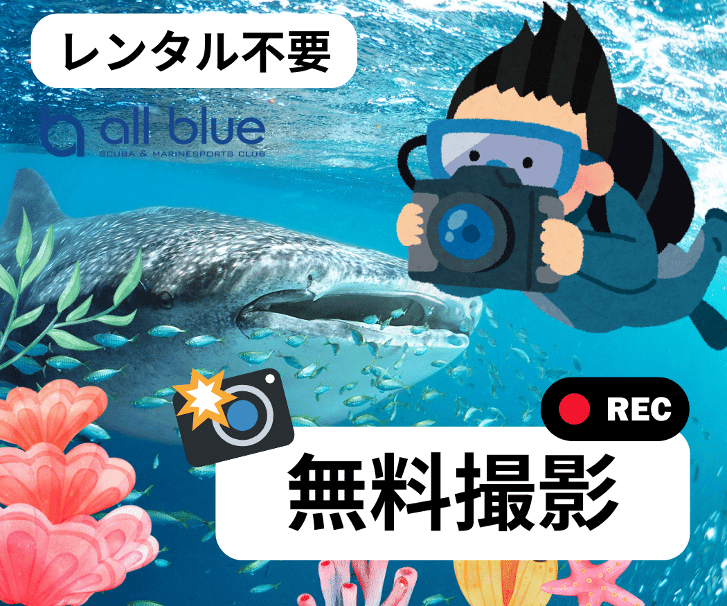 セブ島でダイビングはallblue