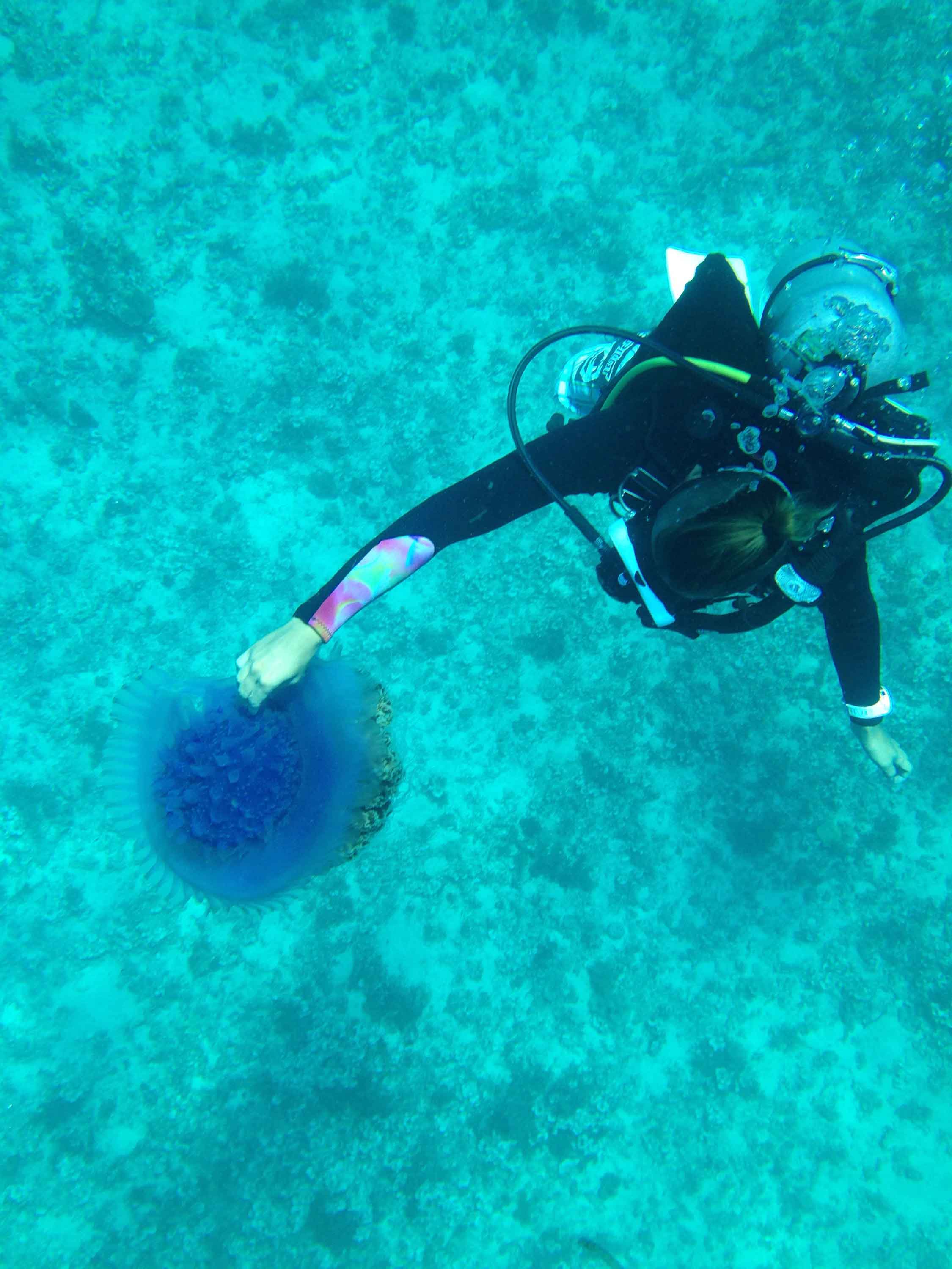 透明度最高！オランゴ島のディンゴでdeep dive! | セブ島に来たら