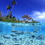 img_1460901_16215743_0