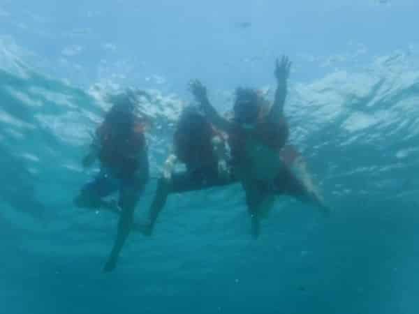 image1 (1)