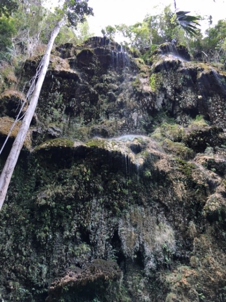 image1 (2)