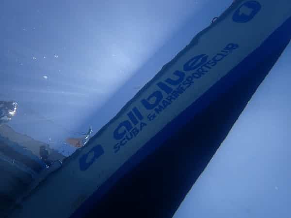 new_P6040562