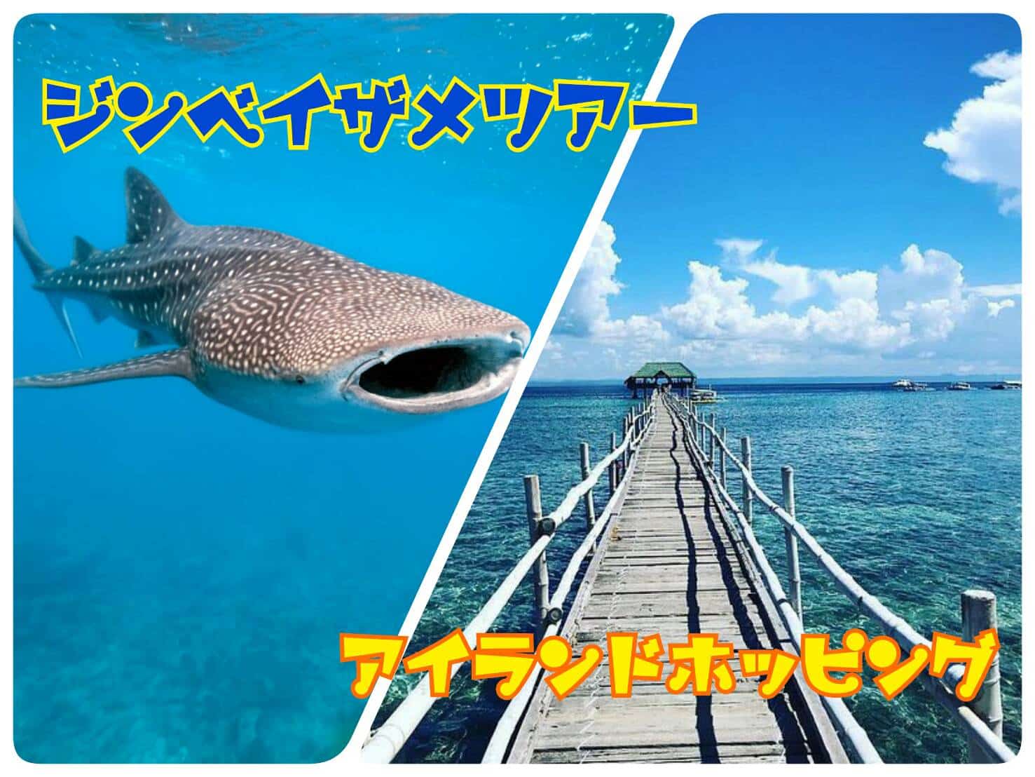 活動歴および当時の関連ビジュアル記録