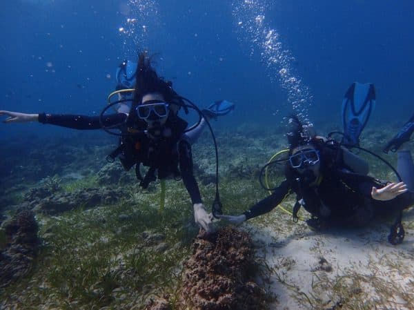 セブ島、ダイビング