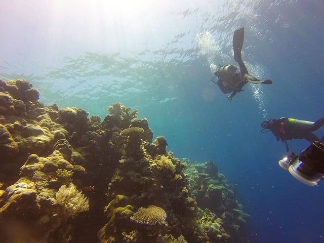 diving