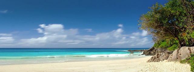 beaches