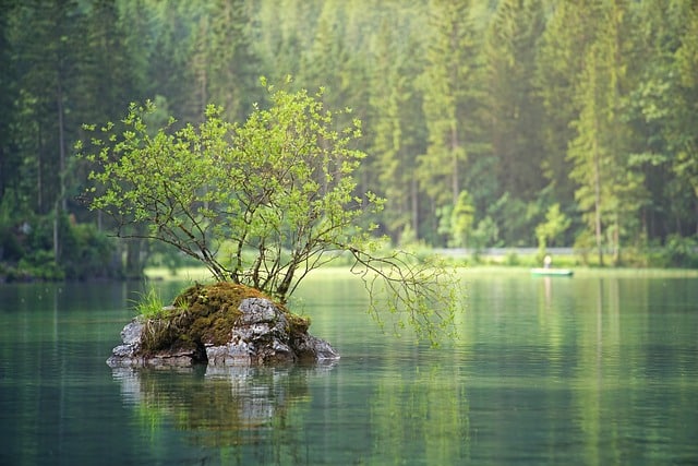 island