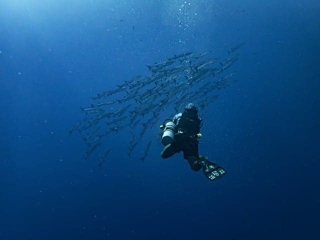diving