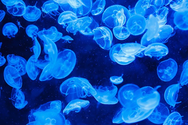 underwater