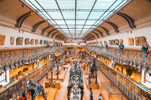 tourism