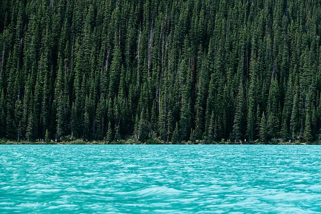 scenery