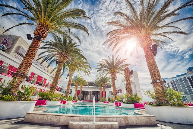 hotels