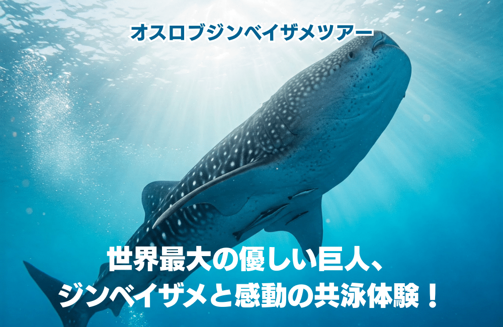 デスクトップ向け画像