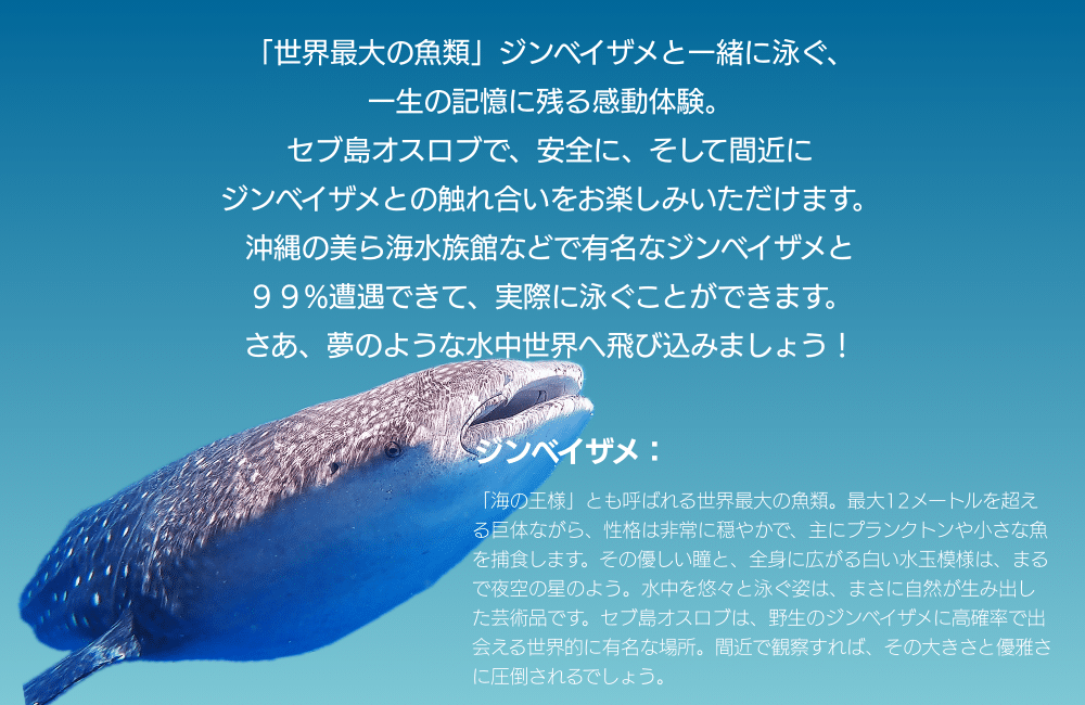 デスクトップ向け画像