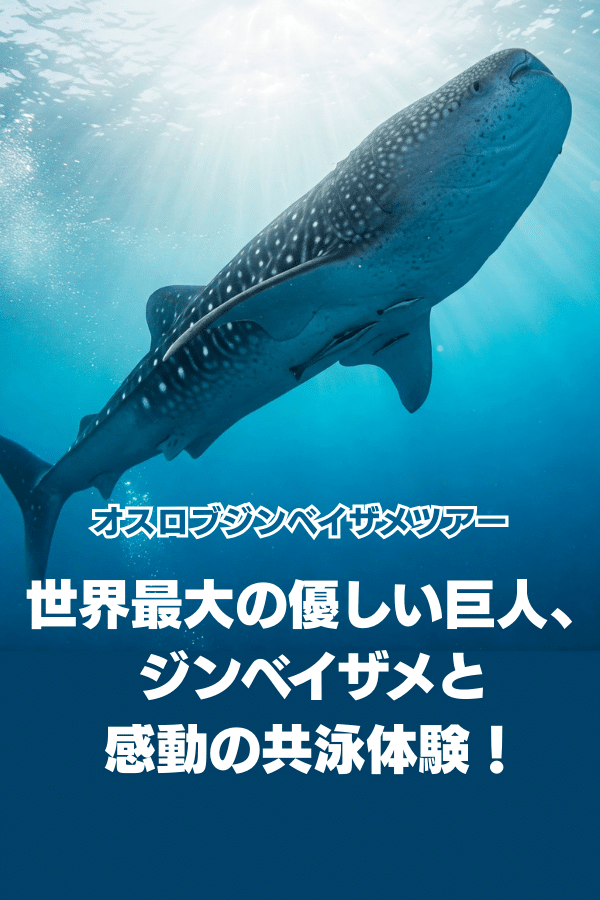 モバイル向け画像