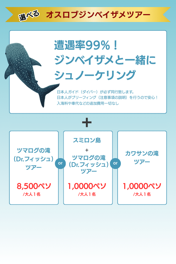 モバイル向け画像
